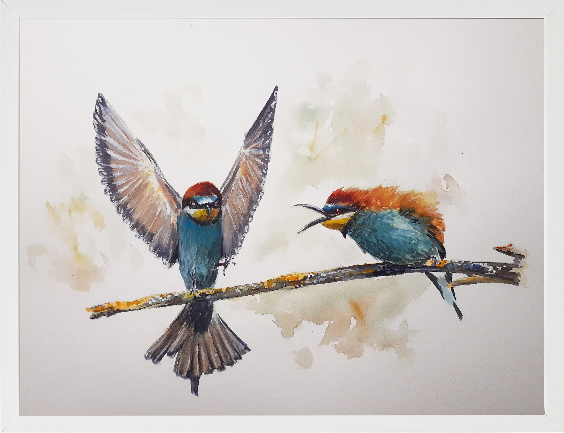 Abejaruco-30x40-65€