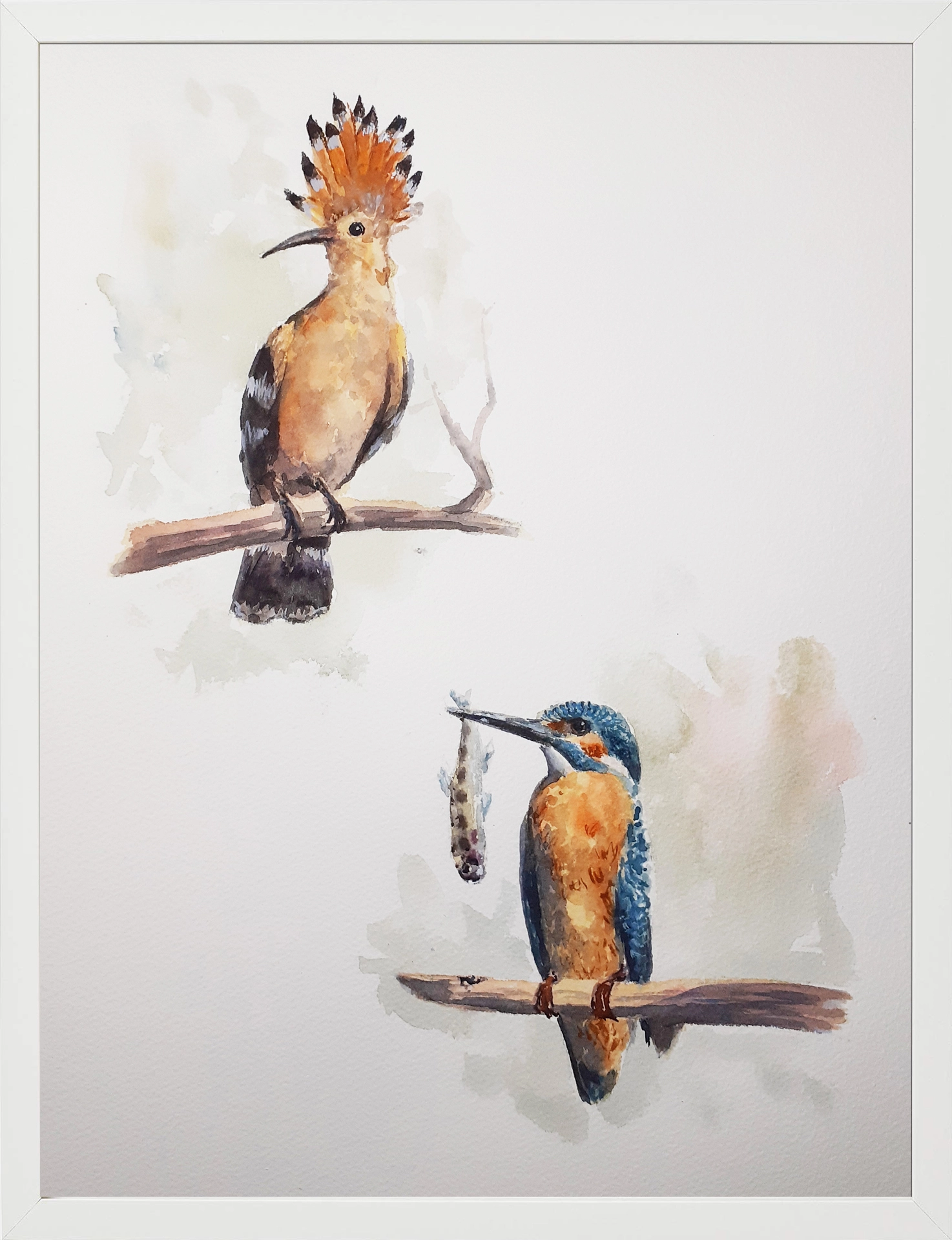 Abubilla y Martin pescador 30x40 (65€)