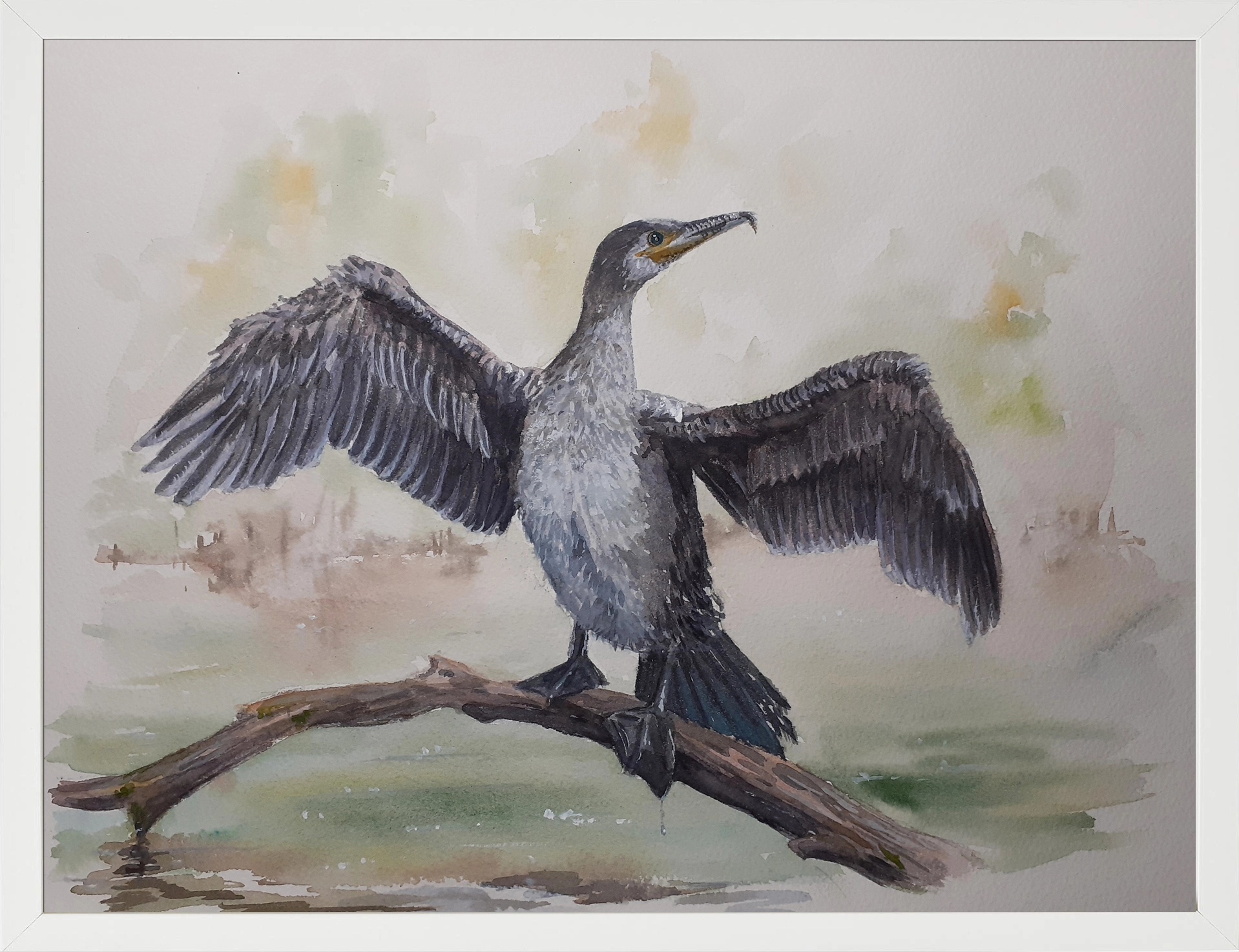 Cormorán 30x40 (65€)