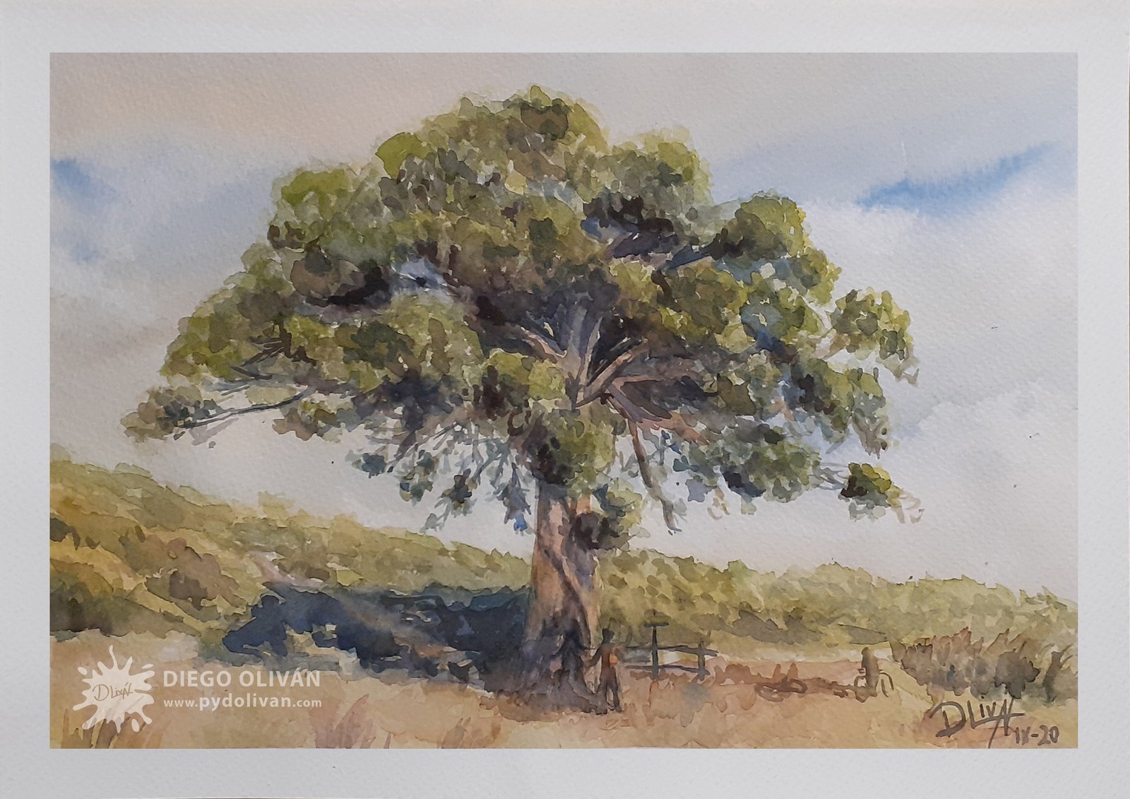 Pino ValdeNavarro 30x40 