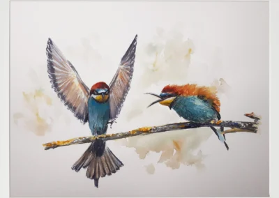Abejaruco 30×40 (65€)