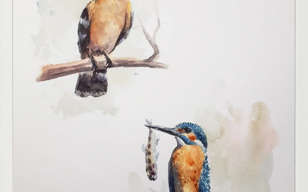 Abubilla y Martín pescador 30×40 (65€)