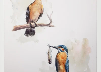 Abubilla y Martín pescador 30×40 (65€)
