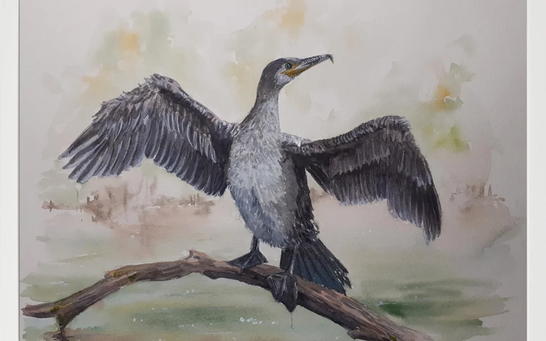 Cormorán 30×40 (65€)
