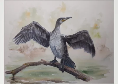 Cormorán 30×40 (65€)