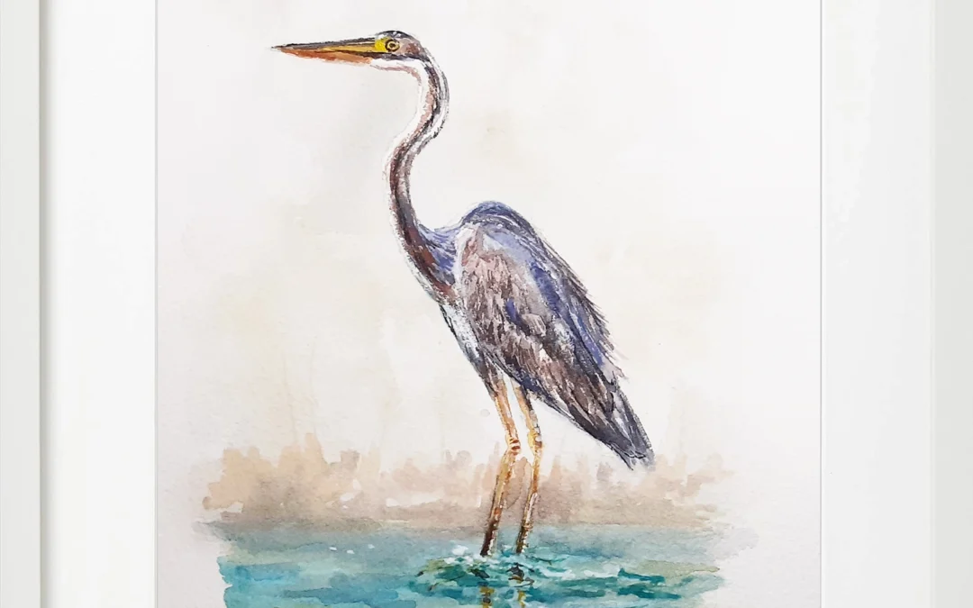 Pack de 2 Garza Real 20×30 (65€)