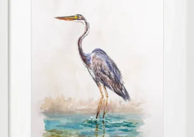 Pack de 2 Garza Real 20×30 (65€)