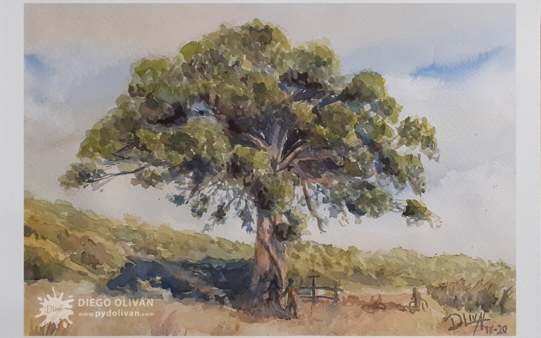 Pino ValdeNavarro 30×40