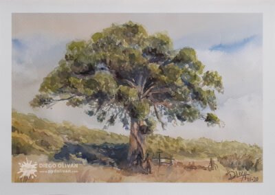 Pino ValdeNavarro 30×40