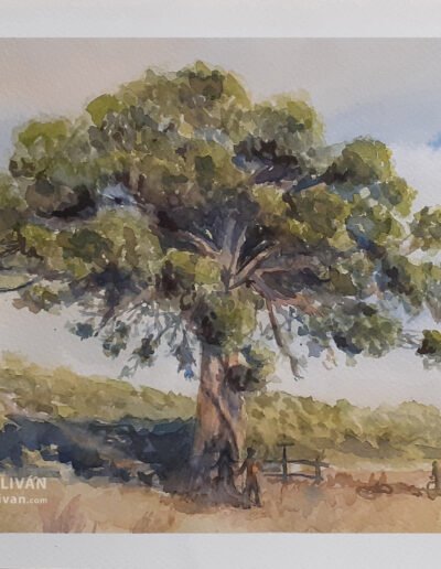 Pino ValdeNavarro 30x40
