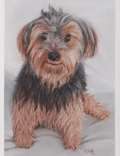 Retrato de Troya pastel